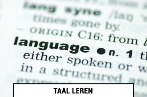 Online taalcursussen en taalcursus mogelijkheden in het buitenland